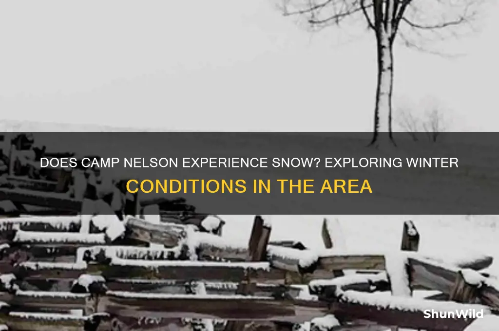 does camp nelson have snow