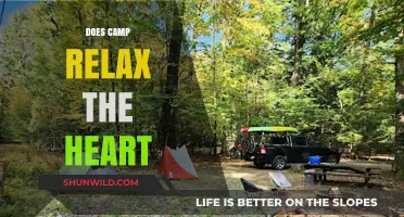 Camping's Heart-Healthy Benefits: Unwinding Nature's Way for Relaxation