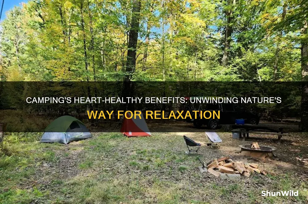does camp relax the heart
