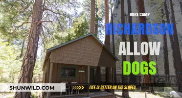 Are Dogs Allowed at Camp Richardson? Pet Policy Explained
