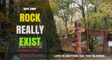 Does Camp Rock Exist? Unveiling the Truth Behind the Musical Myth