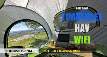 Does Camp Timberlee Have WiFi? Connectivity at the Campsite