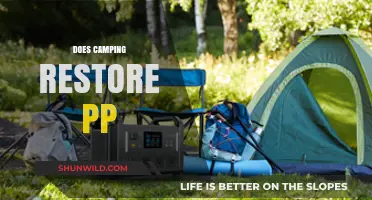 Camping and PP Restoration: Unplugging to Recharge Your Energy Levels