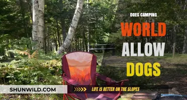 Can You Bring Your Dog to Camping World? Pet Policy Explained