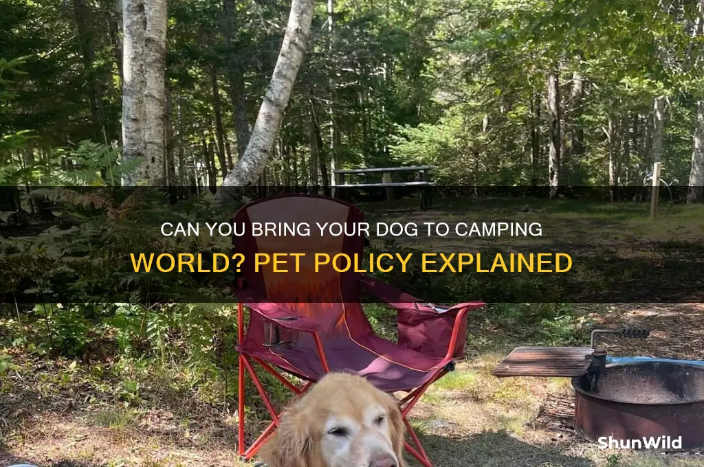 does camping world allow dogs