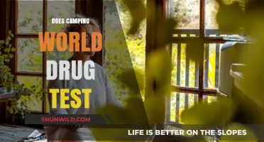 Does Camping World Drug Test? Pre-Employment Screening Explained