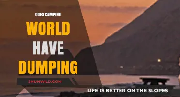 Does Camping World Offer RV Dumping Services? A Complete Guide