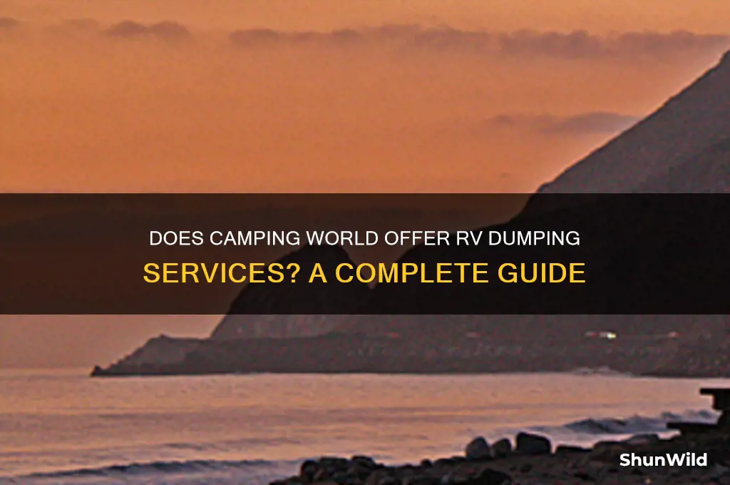does camping world have dumping