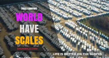 Does Camping World Offer Scales? A Comprehensive Guide for Campers
