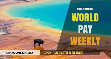 Does Camping World Pay Weekly? Unveiling Payroll Frequency Details
