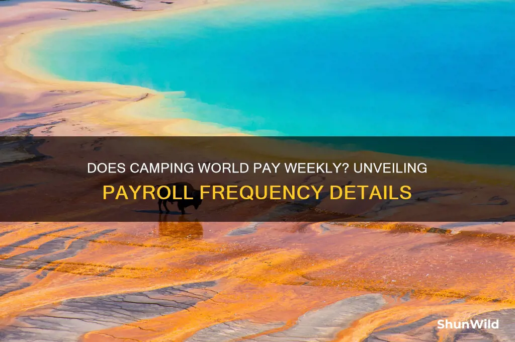 does camping world pay weekly