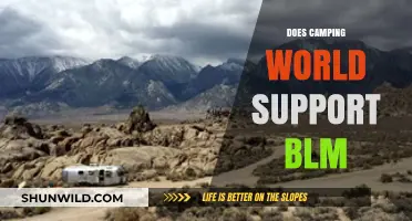Does Camping World Support BLM? Exploring Their Stance and Actions