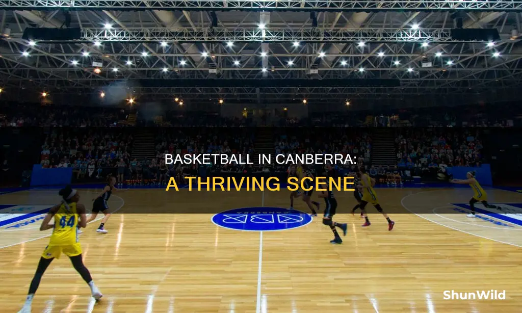 does canberra have a basketball