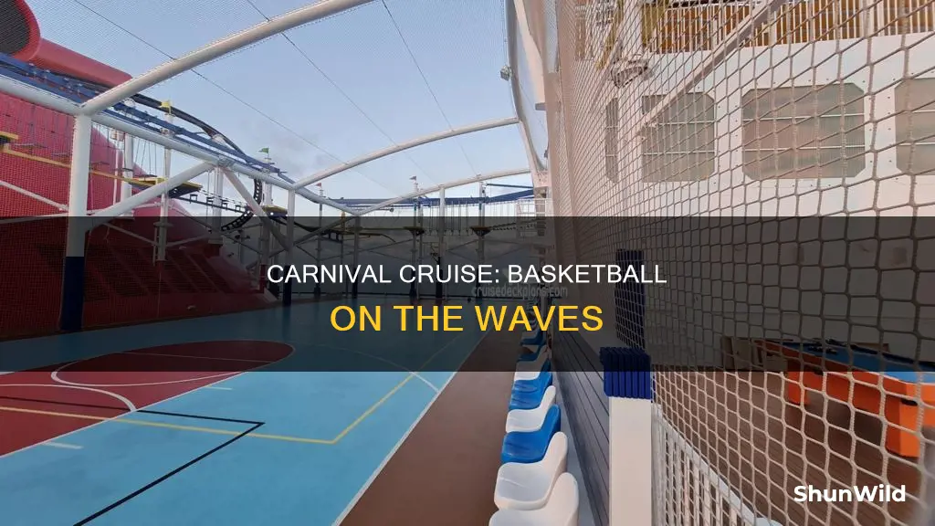 does carnival cruise have basketball