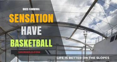 Carnival Sensation: Basketball Fun for Everyone!