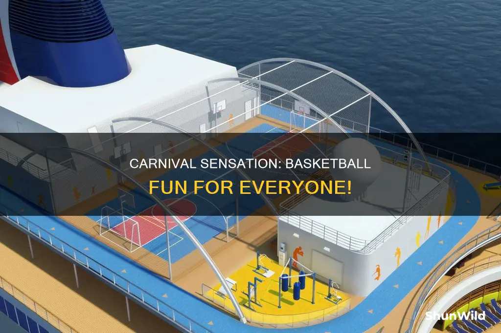 does carnival sensation have basketball