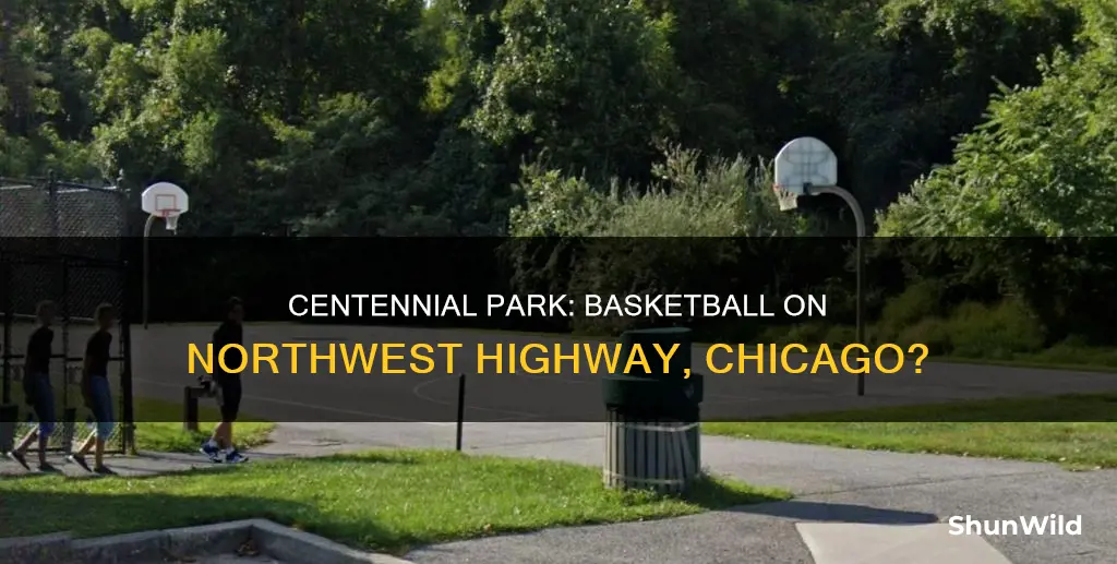 does centennial park on northwest highway chicago have basketball