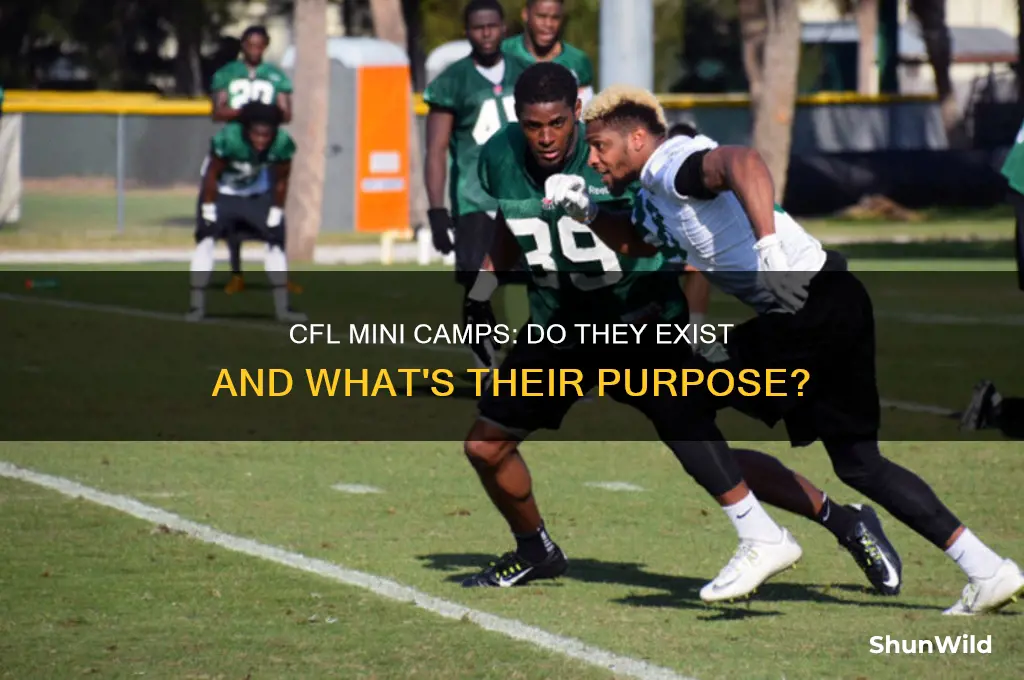 does cfl have mini camps