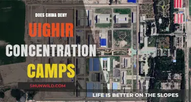 China's Denial of Uyghur Concentration Camps: Fact or Fiction?