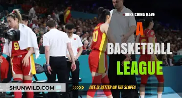 China's Basketball League: Does It Exist?
