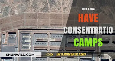 China's Xinjiang Camps: Detention Centers or Cultural Re-education Facilities?