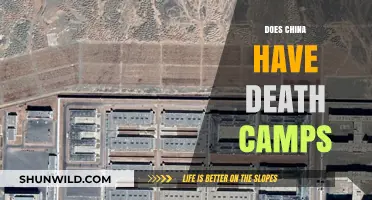 China's Xinjiang Camps: Detention Centers or Death Camps?