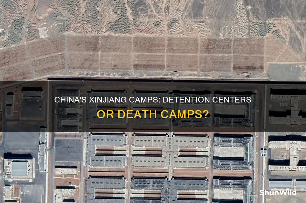 does china have death camps
