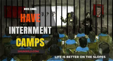 China's Xinjiang Camps: Internment or Re-education Centers?