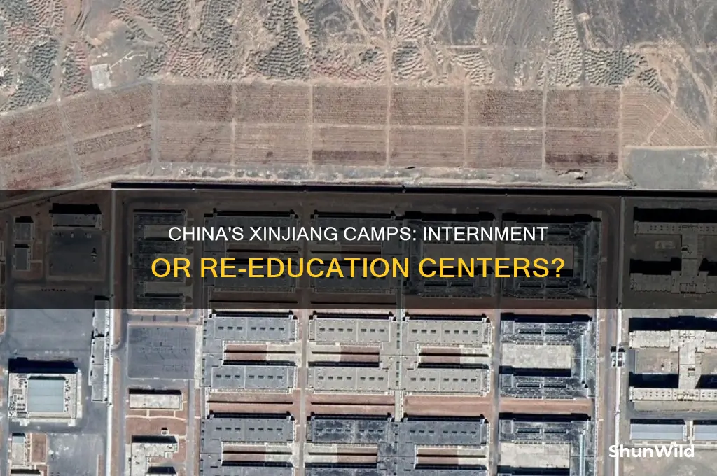does china have internment camps