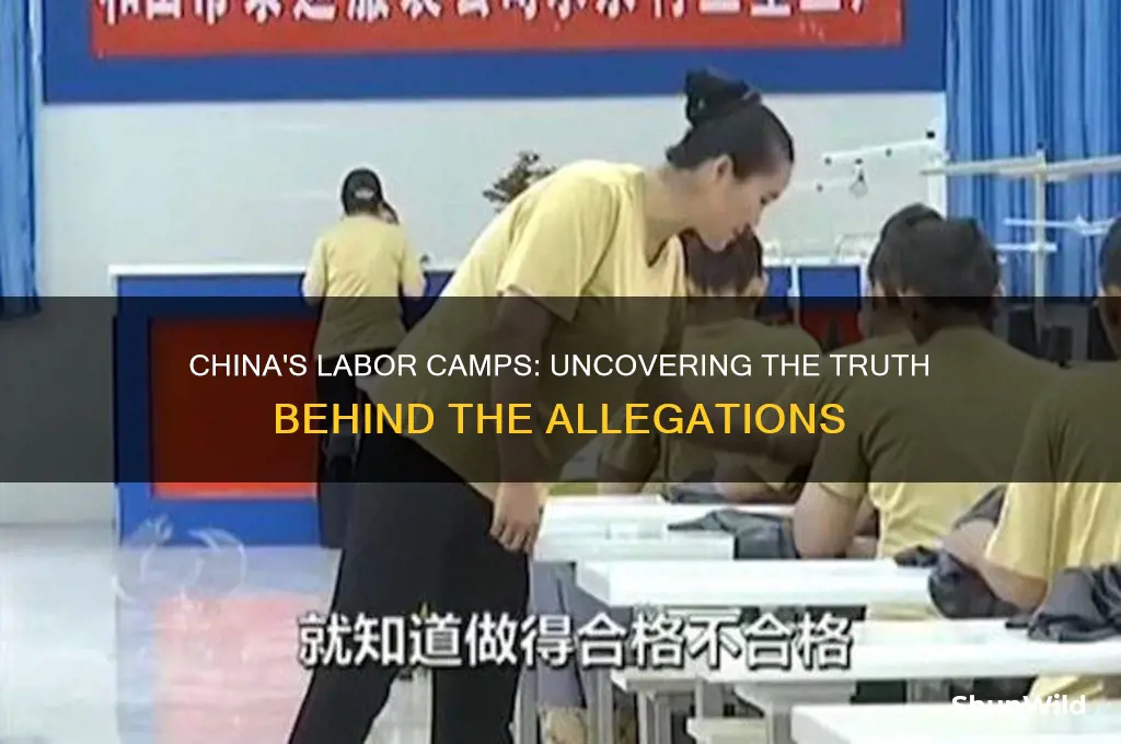 does china have labor camps