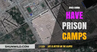 China's Prison Camps: Uncovering the Truth Behind the Allegations