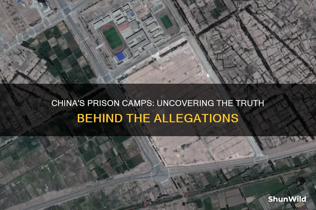 does china have prison camps