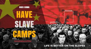 China's Slave Camps: Uncovering the Truth Behind the Allegations