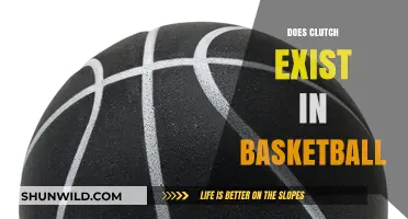 Clutch Gene: Basketball's Myth or Reality?