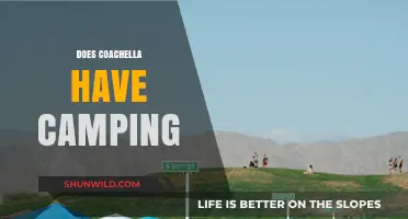 Coachella Camping Guide: What You Need to Know Before You Go