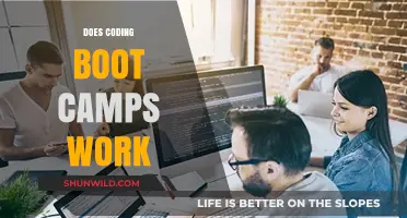 Do Coding Bootcamps Deliver? Evaluating Their Effectiveness and Career Impact