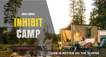 Coffee and cAMP: Exploring the Potential Inhibitory Effects of Caffeine
