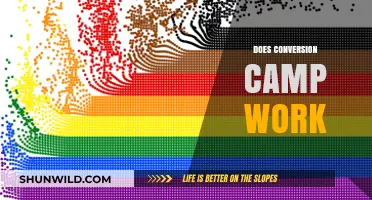 Does Conversion Camp Work? Examining Effectiveness, Ethics, and Long-Term Impact