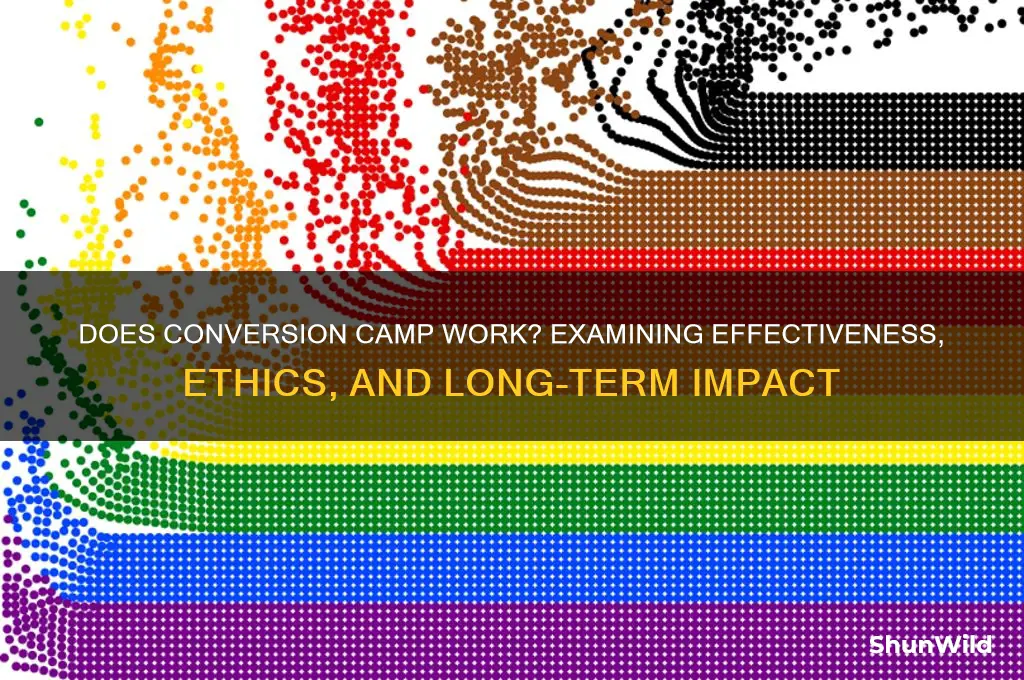 does conversion camp work
