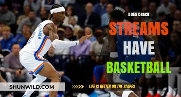 Stream Basketball Games: Crack Streams' Legal Issues