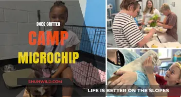 Does Critter Camp Microchip Pets? Essential Info for Pet Owners