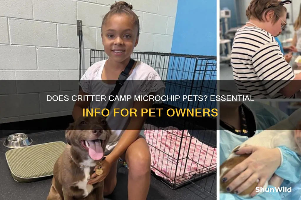 does critter camp microchip