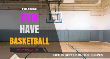 Basketball at Crunch Gym: Is it a Thing?