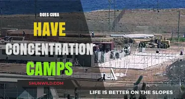 Cuba's Controversial Detention Centers: Concentration Camps or Misunderstood Facilities?