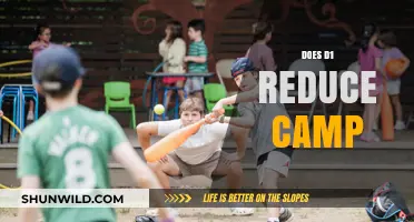 Does D1 Reduce Camp? Exploring the Impact on College Sports