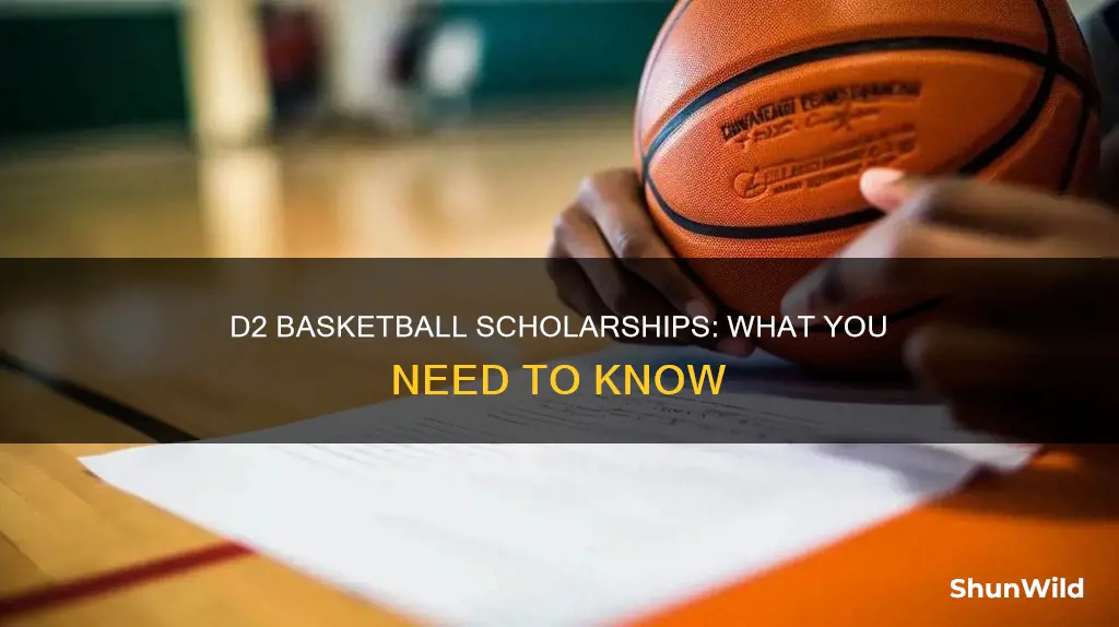 does d2 basketball offer scholarships