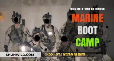 Delta Force Training: Does It Include Marine Boot Camp?