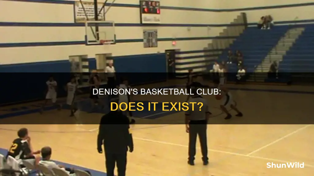 does denison have club basketball