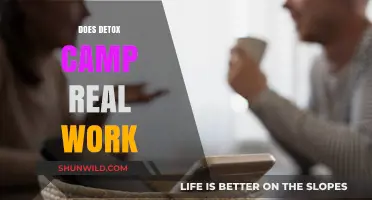Do Detox Camps Really Work? Uncovering the Truth and Results
