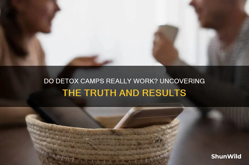 does detox camp real work